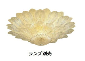 [J[iƖ VfA vʔ  XRG4016CB HKv