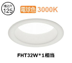 �����Ɩ� �����E�������p�_�E�����C�g ERD10090W �H���K�v