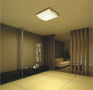 �R�C�Y�~�Ɩ� �a���V�[�����O AH56181 Fit���F �������F