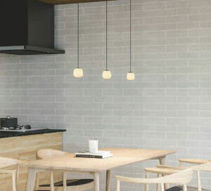 RCY~Ɩ _Ng[py_g AP55573 F