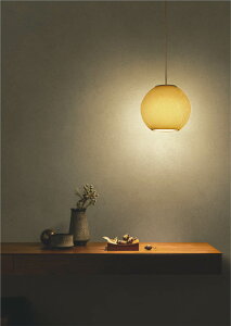 RCY~Ɩ ay_g AP55582 V  HKv dF