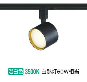 RCY~Ɩ _Ng[pX|bgCg AS56289  F