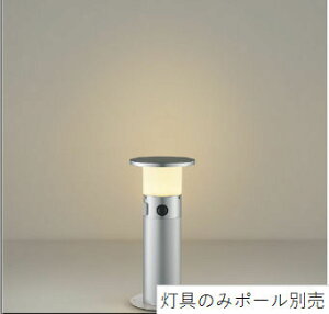 RCY~Ɩ K[fCg ̂݁i|[ʔjAU55979 lZTt HKv dF