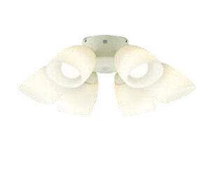 RCY~Ɩf V[Ot@pVfA AA41897L ({̕ʔ)HKv dF