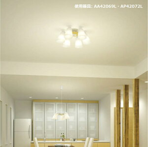 RCY~Ɩ VfA AA42069L dF