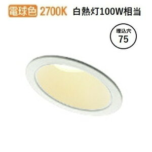 RCY~Ɩ X΁EEH[EHbV[_ECg AD1245W27 HKv Op  dF