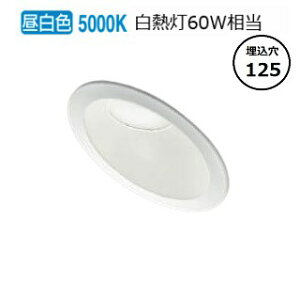 �R�C�Y�~�Ɩ� �X�΁E�E�H�[���E�H�b�V���[�_�E�����C�g AD7310W50 �H���K�v�i�����O���p�j�ʑ����� �����F