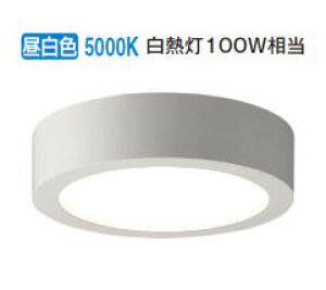 �R�C�Y�~�Ɩ�f ���^�V�[�����O���C�g AH52290 �����F �H���K�v