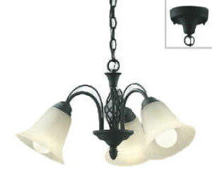 RCY~Ɩ ^VfA AP39695L dF