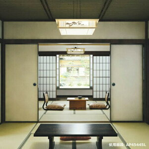 RCY~Ɩ ay_g AP45445L X^_[hF F