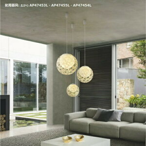 RCY~Ɩ ay_g AP47453L dF