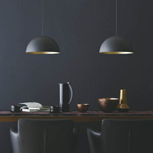 [J[i RCY~Ɩ ay_g AP47491L HKv dF