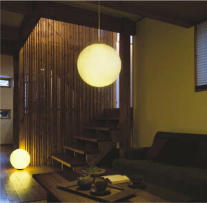 RCY~Ɩ ay_g AP47542L HKv dF