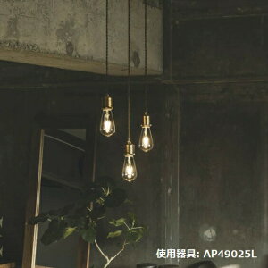 RCY~Ɩf y_g AP49025L dF