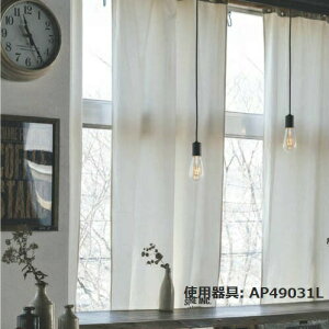 RCY~Ɩf _Ng[py_g AP49031L dF