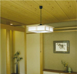 RCY~Ɩc ay_g AP50310 i F