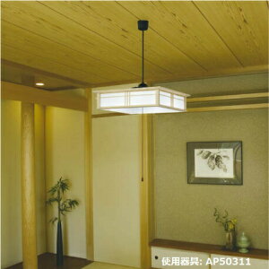 RCY~Ɩc ay_g AP50311 i F