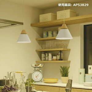 RCY~Ɩ _Ng[py_g AP53829 F