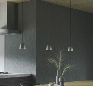 RCY~Ɩ _Ng[py_g AP54816 ʑ dF