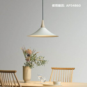 RCY~Ɩ y_g AP54860 dF