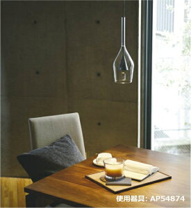 RCY~Ɩf _Ng[py_g AP54874 dF