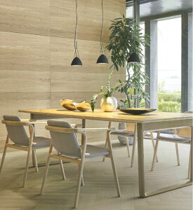 RCY~Ɩ _Ng[py_g AP54944 F