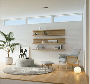 RCY~Ɩ X^h AT51163 dF tACg