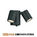 コイズミ照明 アウトドアスポット 人感センサ付タイマー付ON-OFFタイプ AU43321L 工事必要 電球色