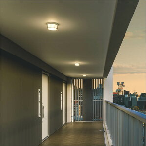 RCY~Ɩf ^V[O AU54100  HKv dF