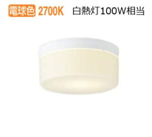 RCY~Ɩ ^V[O AU54103  HKv dF