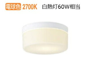 RCY~Ɩ ^V[O AU54106  HKv dF