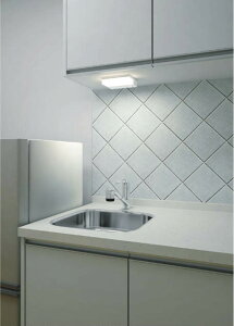 �R�C�Y�~�Ɩ�c �������� AB57254