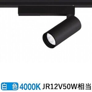 [J[i RCY~Ɩ _Ng[pX|bgCg V_[fUC ʑ XS710809BW