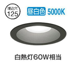 I[fbN px[X_E OD261833R 125 M60W F  F ZT[AΉ^Cv HKv