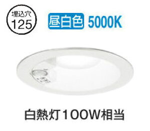 I[fbN plZT[tx[X_E OD261843R 125 M100W F F HKv