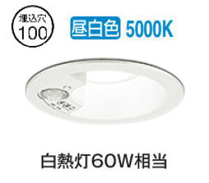 I[fbN plZT[tx[X_E OD261849R 100 M60W F F HKv