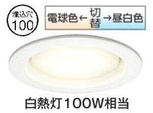 �I�[�f���b�N �_�E�����C�g OD361203PR ��100 ���M��100W���� �����F ���F�ؑ֒��� �g�U�z�� �H���K�v