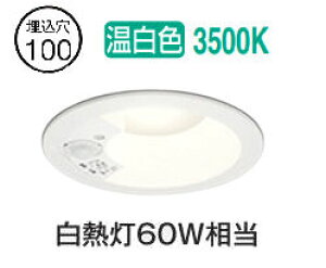 �I�[�f���b�N �l���Z���T�[�t�_�E�����C�g OD361655R ���ωΑΉ� ��100 ���M��60W���� �����F �����F �H���K�v