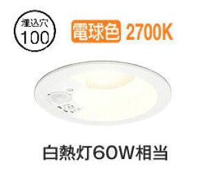 I[fbN plZT[tx[X_E OD361668R ω΍\Ή 100 M60W dF F HKv