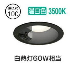 I[fbN plZT[tx[X_E OD361670R ω΍\Ή 100 M60W F F HKv