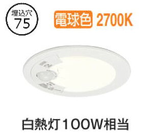 I[fbN plZT[tx[X_E OD361702R 75 M100W dF F HKv