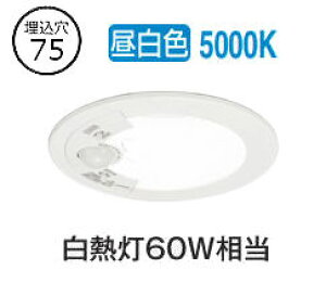 I[fbN plZT[tx[X_E OD361706R 75 M60W F F HKv