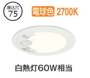 I[fbN plZT[tx[X_E OD361708R 75 M60W dF F HKv