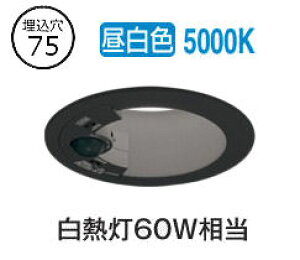 I[fbN plZT[tx[X_E OD361709R 75 M60W F F HKv