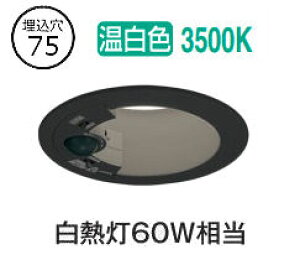 I[fbN plZT[tx[X_E OD361710R 75 M60W F F HKv