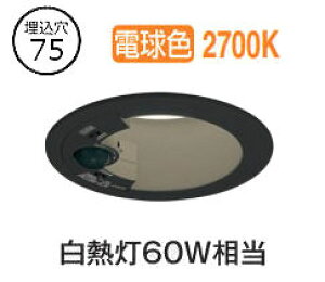 I[fbN plZT[tx[X_E OD361711R 75 M60W dF F HKv