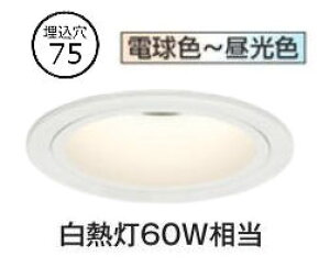 I[fbN jo[T_ECg OD361743BR nCR[ 75 M60W F F Bluetooth ~fBAz HKv