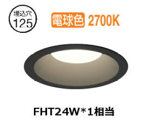 �I�[�f���b�N �����O���p�x�[�X�_�E�����C�g OD361889R ��125 FHT24W���� �d���F ���� �����F