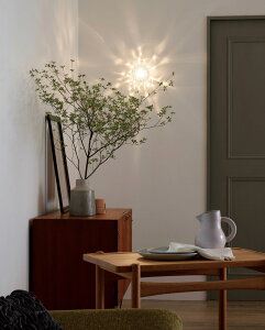 I[fbN uPbg OB255191LR p HKv dF F AQUA Water ANA ʃCg