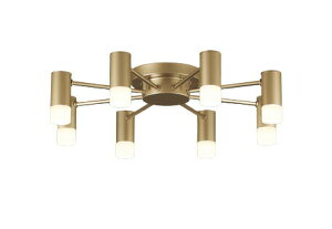 I[fbN VfA OC257199R `10 dF F  ykCEkEBʓrz